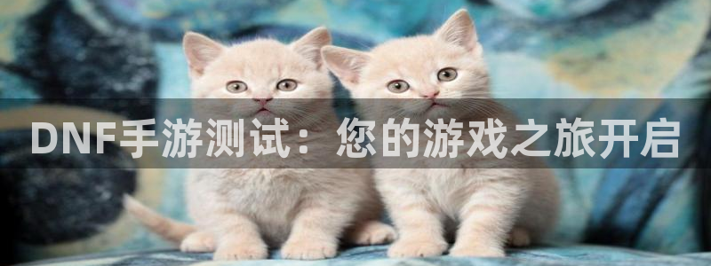 大神28分分预测：DNF手游测试：您的游戏之旅开启