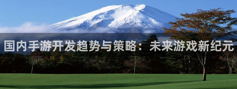28大神官方网站手机版：国内手游开发趋势与策略：未来游戏新纪