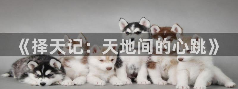 28大神开奖下载：《择天记：天地间的心跳》