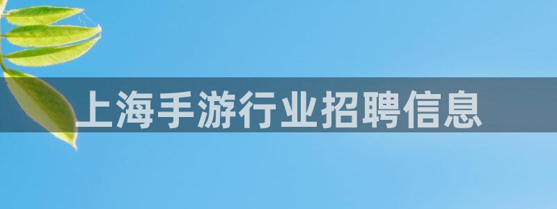 大神28app官网下载：上海手游行业招聘信息