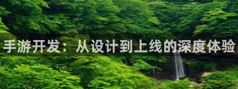 com.pc28.大神：手游开发：从设计到上线的深度体验