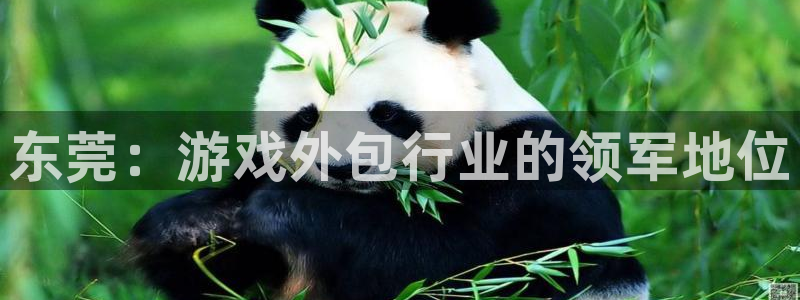 大神28app：东莞：游戏外包行业的领军地位