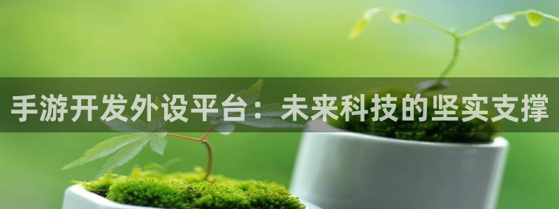 28大神怎么用不了了：手游开发外设平台：未来科技的坚实支撑