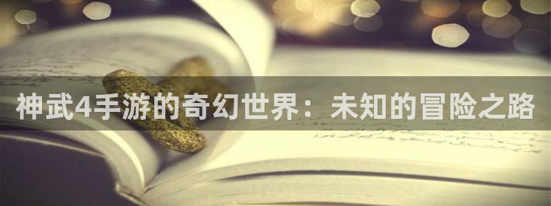 大神28手机版：神武4手游的奇幻世界：未知的冒险之路