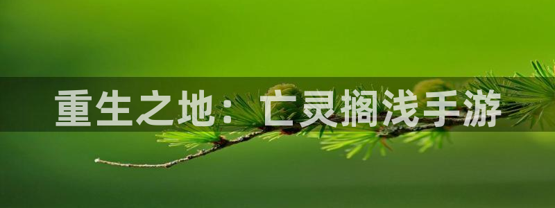 加拿大pc大神28预测：重生之地：亡灵搁浅手游